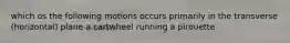 which os the following motions occurs primarily in the transverse (horizontal) plane a cartwheel running a pirouette