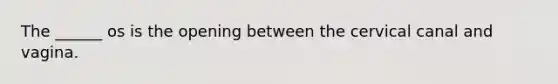 The ______ os is the opening between the cervical canal and vagina.