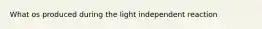 What os produced during the light independent reaction