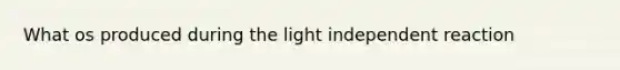 What os produced during the light independent reaction