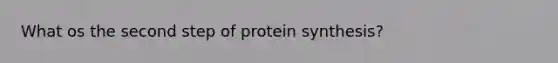 What os the second step of protein synthesis?