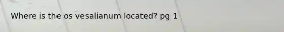 Where is the os vesalianum located? pg 1