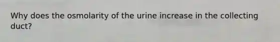 Why does the osmolarity of the urine increase in the collecting duct?