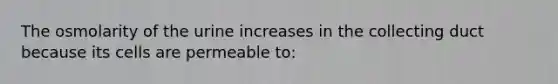 The osmolarity of the urine increases in the collecting duct because its cells are permeable to: