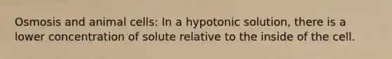 Osmosis and animal cells: In a hypotonic solution, there is a lower concentration of solute relative to the inside of the cell.