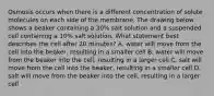 Osmosis occurs when there is a different concentration of solute molecules on each side of the membrane. The drawing below shows a beaker containing a 30% salt solution and a suspended cell containing a 10% salt solution. What statement best describes the cell after 20 minutes? A. water will move from the cell into the beaker, resulting in a smaller cell B. water will move from the beaker into the cell, resulting in a larger cell C. salt will move from the cell into the beaker, resulting in a smaller cell D. salt will move from the beaker into the cell, resulting in a larger cell