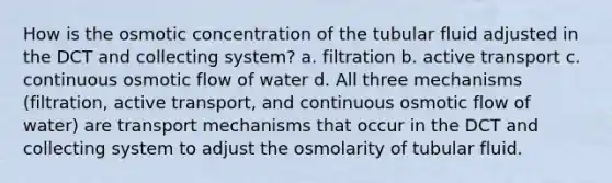 How is the osmotic concentration of the tubular fluid adjusted in the DCT and collecting system? a. filtration b. active transport c. continuous osmotic flow of water d. All three mechanisms (filtration, active transport, and continuous osmotic flow of water) are transport mechanisms that occur in the DCT and collecting system to adjust the osmolarity of tubular fluid.