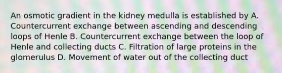 An osmotic gradient in the kidney medulla is established by A. Countercurrent exchange between ascending and descending loops of Henle B. Countercurrent exchange between the loop of Henle and collecting ducts C. Filtration of large proteins in the glomerulus D. Movement of water out of the collecting duct