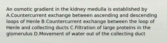 An osmotic gradient in the kidney medulla is established by A.Countercurrent exchange between ascending and descending loops of Henle B.Countercurrent exchange between the loop of Henle and collecting ducts C.Filtration of large proteins in the glomerulus D.Movement of water out of the collecting duct