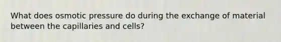 What does osmotic pressure do during the exchange of material between the capillaries and cells?