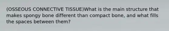 (OSSEOUS CONNECTIVE TISSUE)What is the main structure that makes spongy bone different than compact bone, and what fills the spaces between them?