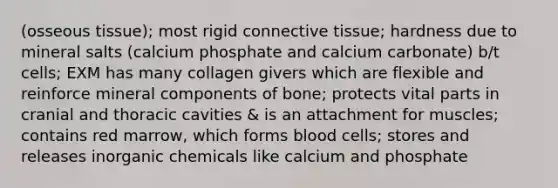 (osseous tissue); most rigid connective tissue; hardness due to mineral salts (calcium phosphate and calcium carbonate) b/t cells; EXM has many collagen givers which are flexible and reinforce mineral components of bone; protects vital parts in cranial and thoracic cavities & is an attachment for muscles; contains red marrow, which forms blood cells; stores and releases inorganic chemicals like calcium and phosphate