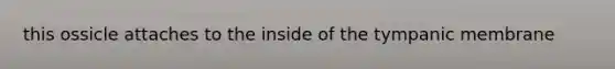 this ossicle attaches to the inside of the tympanic membrane