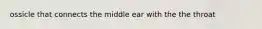 ossicle that connects the middle ear with the the throat