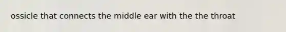 ossicle that connects the middle ear with the the throat