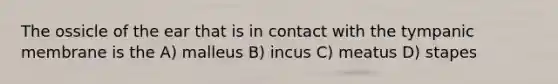 The ossicle of the ear that is in contact with the tympanic membrane is the A) malleus B) incus C) meatus D) stapes