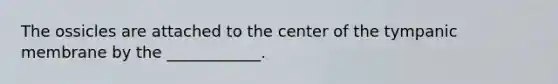 The ossicles are attached to the center of the tympanic membrane by the ____________.