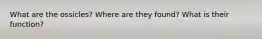 What are the ossicles? Where are they found? What is their function?