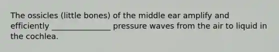 The ossicles (little bones) of the middle ear amplify and efficiently _______________ pressure waves from the air to liquid in the cochlea.