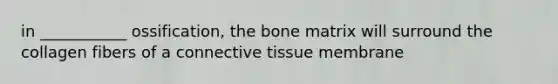 in ___________ ossification, the bone matrix will surround the collagen fibers of a connective tissue membrane