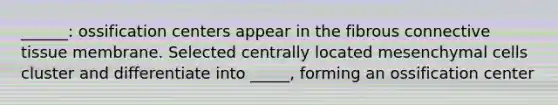 ______: ossification centers appear in the fibrous connective tissue membrane. Selected centrally located mesenchymal cells cluster and differentiate into _____, forming an ossification center