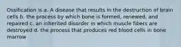 Ossification is a. A disease that results in the destruction of brain cells b. the process by which bone is formed, renewed, and repaired c. an inherited disorder in which muscle fibers are destroyed d. the process that produces red blood cells in bone marrow