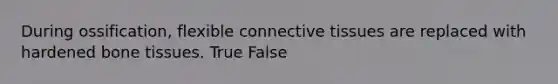 During ossification, flexible connective tissues are replaced with hardened bone tissues. True False