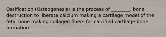 Ossification (Osteogenesis) is the process of ________. bone destruction to liberate calcium making a cartilage model of the fetal bone making collagen fibers for calcified cartilage bone formation