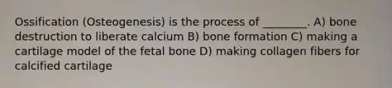 Ossification (Osteogenesis) is the process of ________. A) bone destruction to liberate calcium B) bone formation C) making a cartilage model of the fetal bone D) making collagen fibers for calcified cartilage