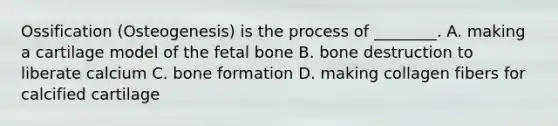 Ossification (Osteogenesis) is the process of ________. A. making a cartilage model of the fetal bone B. bone destruction to liberate calcium C. bone formation D. making collagen fibers for calcified cartilage