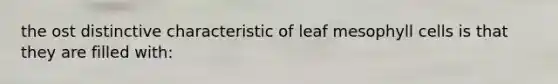 the ost distinctive characteristic of leaf mesophyll cells is that they are filled with: