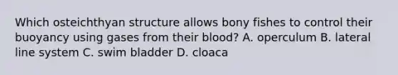 Which osteichthyan structure allows bony fishes to control their buoyancy using gases from their blood? A. operculum B. lateral line system C. swim bladder D. cloaca