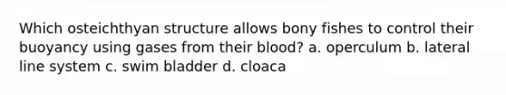 Which osteichthyan structure allows bony fishes to control their buoyancy using gases from their blood? a. operculum b. lateral line system c. swim bladder d. cloaca