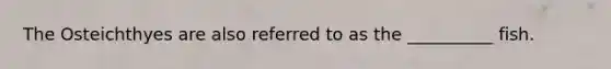 The Osteichthyes are also referred to as the __________ fish.