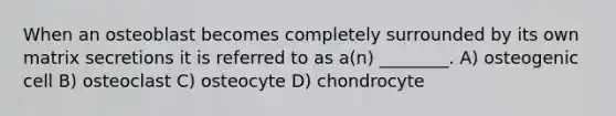 When an osteoblast becomes completely surrounded by its own matrix secretions it is referred to as a(n) ________. A) osteogenic cell B) osteoclast C) osteocyte D) chondrocyte