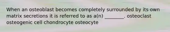 When an osteoblast becomes completely surrounded by its own matrix secretions it is referred to as a(n) ________. osteoclast osteogenic cell chondrocyte osteocyte