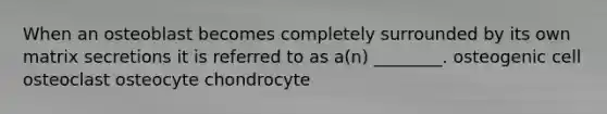 When an osteoblast becomes completely surrounded by its own matrix secretions it is referred to as a(n) ________. osteogenic cell osteoclast osteocyte chondrocyte