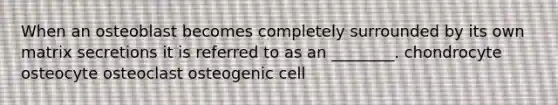 When an osteoblast becomes completely surrounded by its own matrix secretions it is referred to as an ________. chondrocyte osteocyte osteoclast osteogenic cell