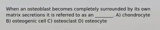 When an osteoblast becomes completely surrounded by its own matrix secretions it is referred to as an ________. A) chondrocyte B) osteogenic cell C) osteoclast D) osteocyte