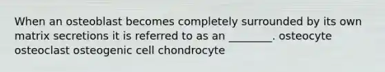 When an osteoblast becomes completely surrounded by its own matrix secretions it is referred to as an ________. osteocyte osteoclast osteogenic cell chondrocyte