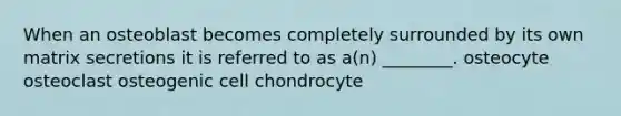 When an osteoblast becomes completely surrounded by its own matrix secretions it is referred to as a(n) ________. osteocyte osteoclast osteogenic cell chondrocyte