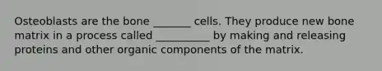 Osteoblasts are the bone _______ cells. They produce new bone matrix in a process called __________ by making and releasing proteins and other organic components of the matrix.