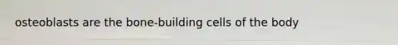 osteoblasts are the bone-building cells of the body
