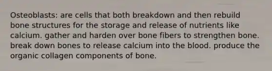 Osteoblasts: are cells that both breakdown and then rebuild bone structures for the storage and release of nutrients like calcium. gather and harden over bone fibers to strengthen bone. break down bones to release calcium into the blood. produce the organic collagen components of bone.