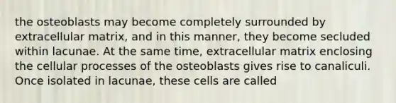 the osteoblasts may become completely surrounded by extracellular matrix, and in this manner, they become secluded within lacunae. At the same time, extracellular matrix enclosing the cellular processes of the osteoblasts gives rise to canaliculi. Once isolated in lacunae, these cells are called