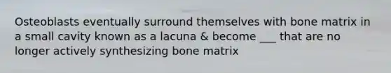 Osteoblasts eventually surround themselves with bone matrix in a small cavity known as a lacuna & become ___ that are no longer actively synthesizing bone matrix