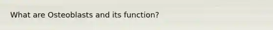 What are Osteoblasts and its function?