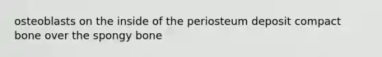 osteoblasts on the inside of the periosteum deposit compact bone over the spongy bone