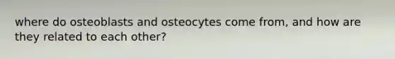 where do osteoblasts and osteocytes come from, and how are they related to each other?