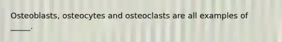 Osteoblasts, osteocytes and osteoclasts are all examples of _____.